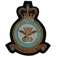 RAF Logistics wire blazer badge